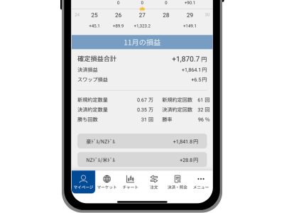 損益カレンダー2024年11月②