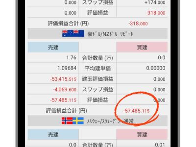 オージーキウイの含み損